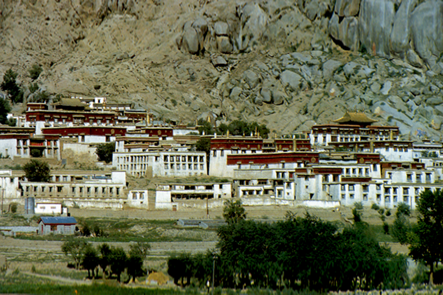 History of Sera Jey Monastery